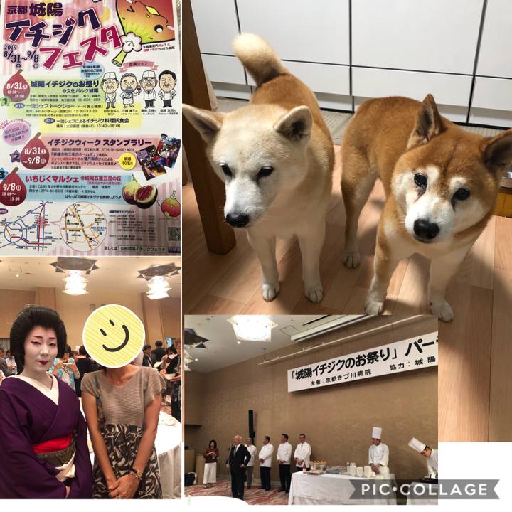 C7ec353f a887 4770 b50b ebf5a2d5750e 1567308027490