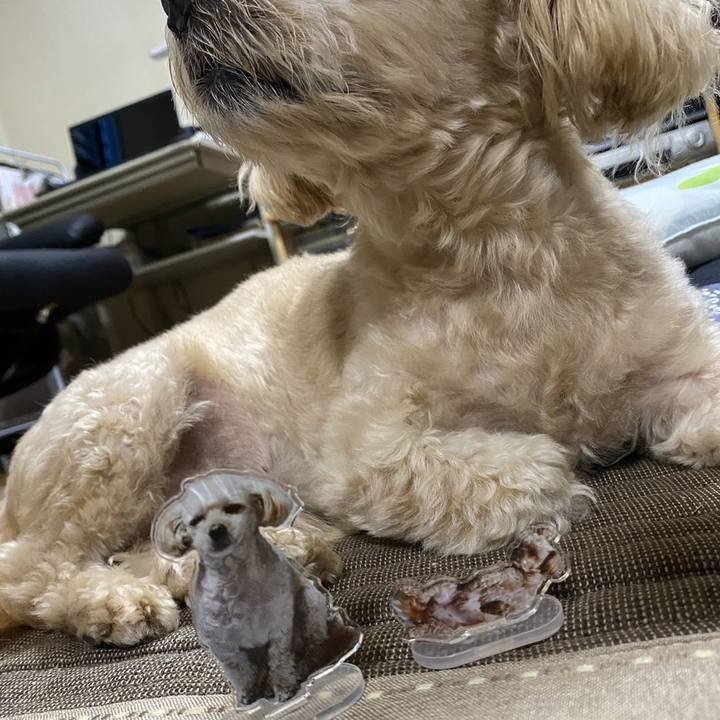 C7ec4b61 b1f3 4487 a0ce 262784ed62c8 1693035179396