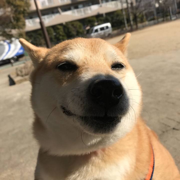 C7ec55c8 f2c8 4c7b 94b2 17c15bc8dc5e 1518168654638