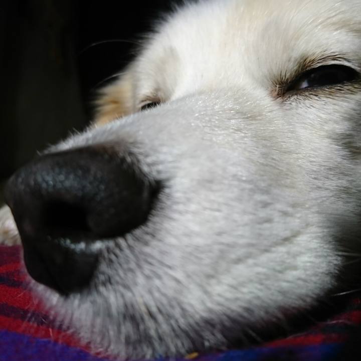 C7ec56ec da1d 4077 b392 9f5f0b62f066 1514667915472