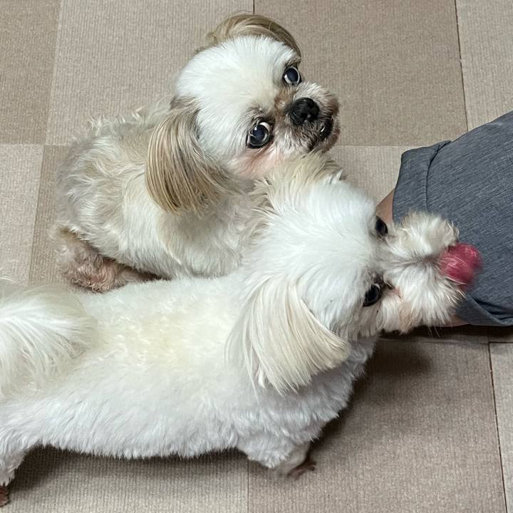 C7ec59bd 55c1 4be2 a60d 921122806d29 1656458111918