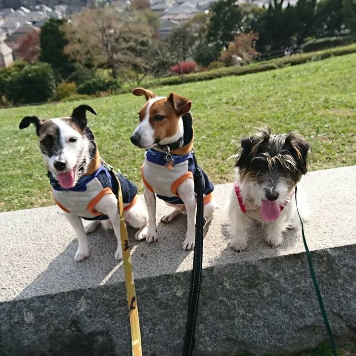 C7ec603b 62c2 4b87 9a9a 372d27cc15e1 1542522038455