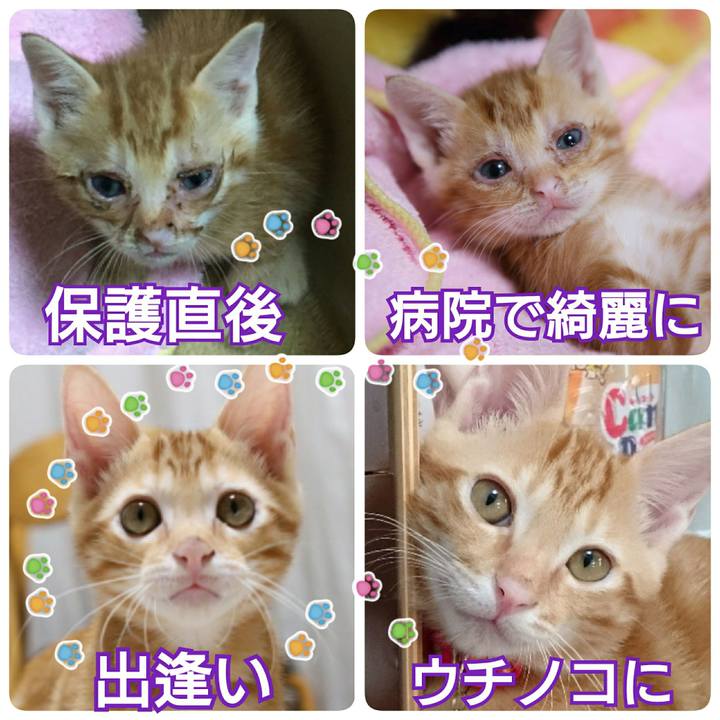 C7ec7459 1495 4335 9e68 a8b8c5c53da4 1535249165037