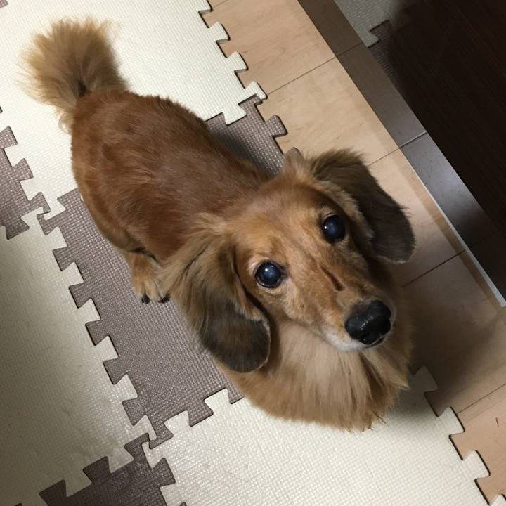 C7ec9e93 c525 4a0d 9dd1 8024204fb970 1601385947432