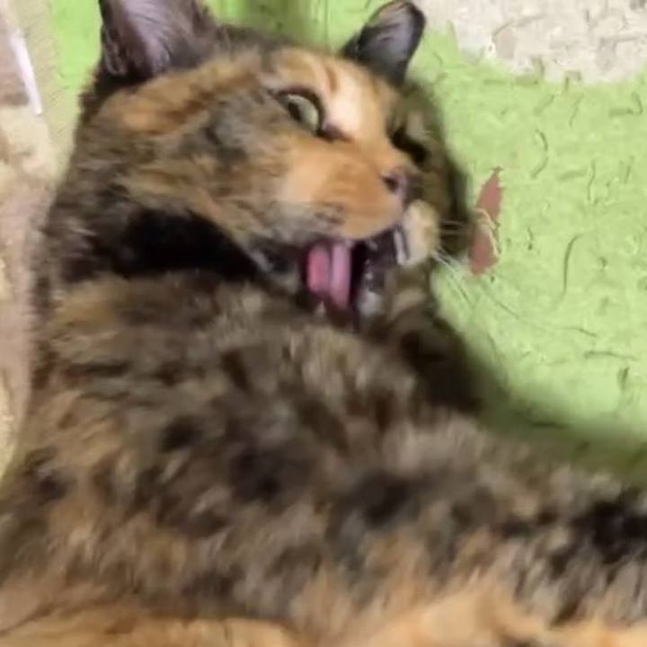 C7ecaf06 95e2 4541 bf50 bc83ee0e4d12 1732008527563