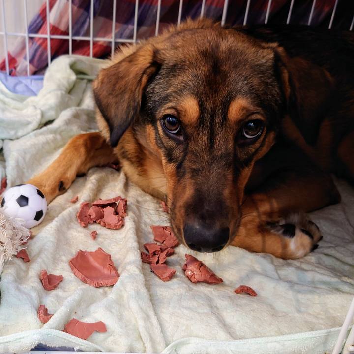 C7ece93c e6bf 40c3 9020 a66770d6ea70 1701058045329