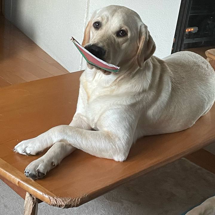 C7ed055a 32f4 4b11 8f26 d8f86c8d5602 1640213151030