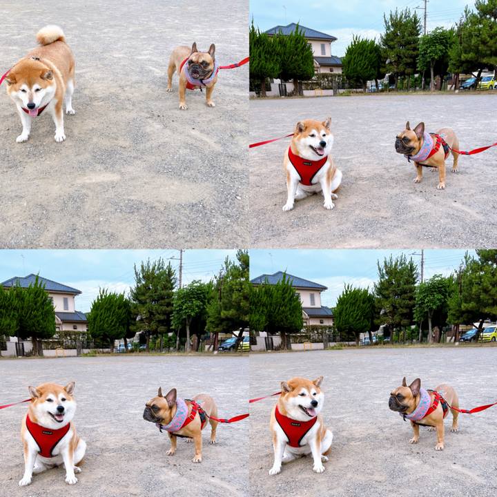 C7ed0567 6d9c 4aba 9f4e 2401099caa7a 1656802387682