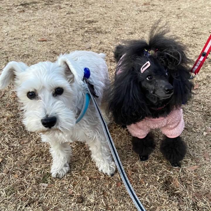 C7ed4d51 a13c 42e0 a308 6ed4a1bda8bd 1673532037605