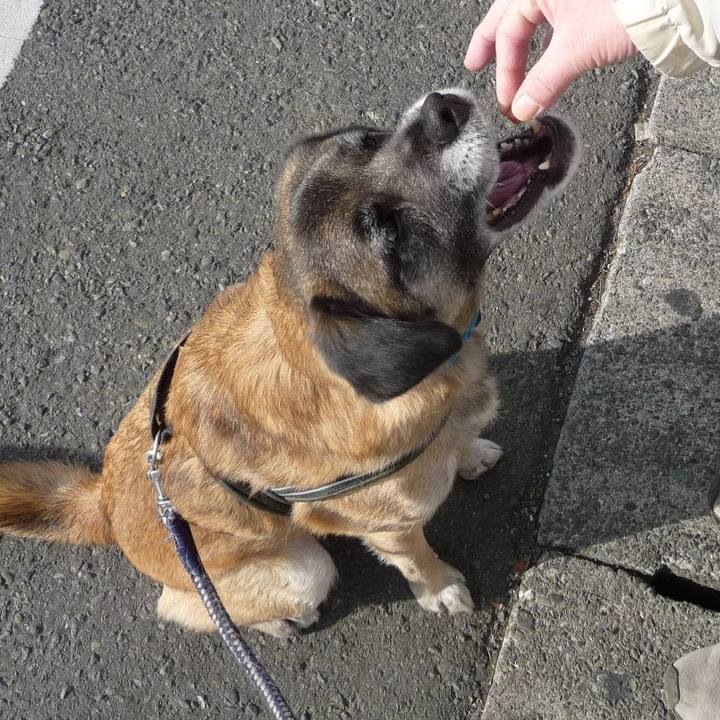 C7eda1fc 7662 4896 b6b6 d3db14deb623 1578523629988