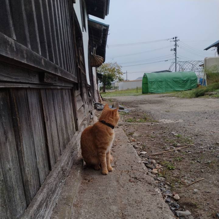 C7edad28 4f82 4bab 990a a4f8cc6d9e77 1665096226723