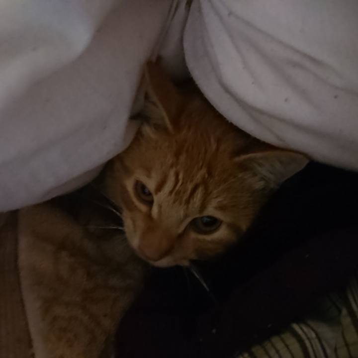 C7edc93f a235 4f20 aa9b 8f3031a0efa0 1637353784834