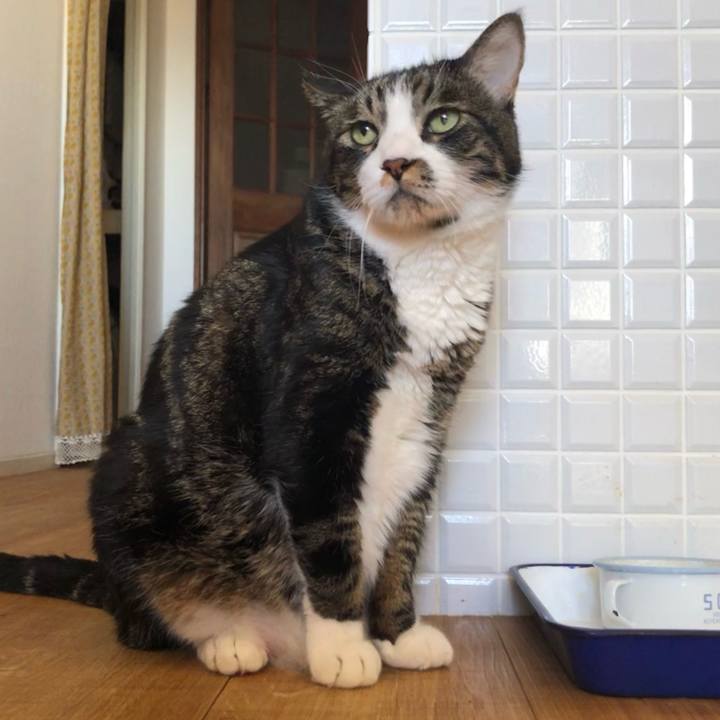 C7edf57c 8780 42b4 8868 2c5d54c386f8 1715470862432