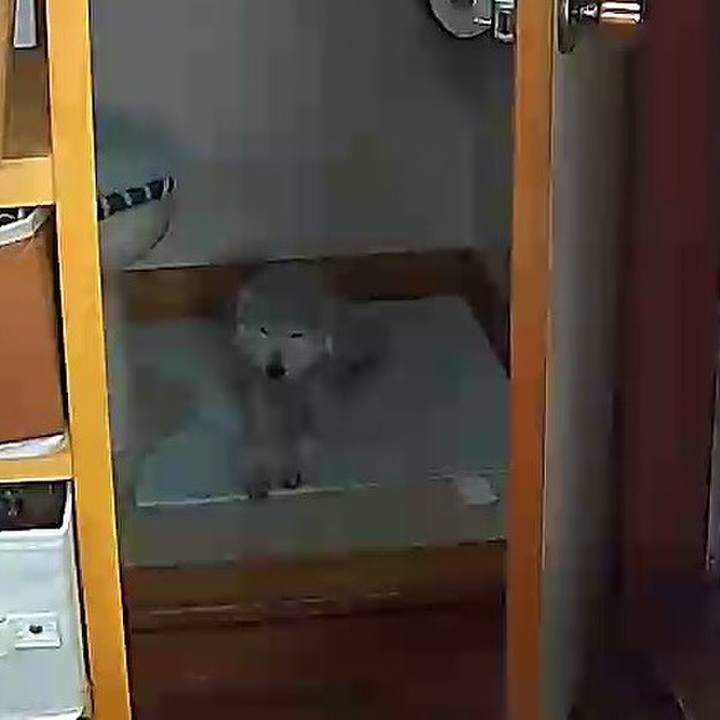 C7ee2cca 706f 4c26 88bb d23764d52923 1622184850938