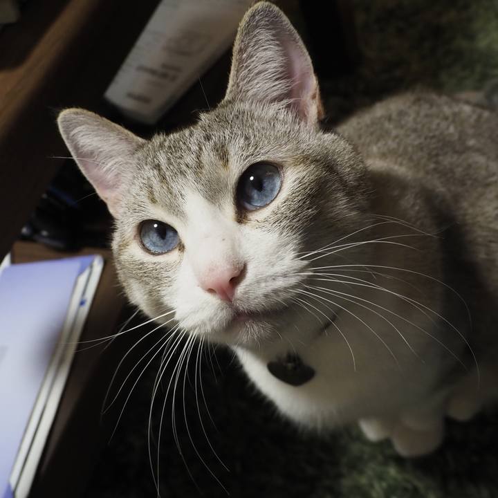 C7ee4dae f011 49c1 8320 3121d1fb6eda 1639057367719