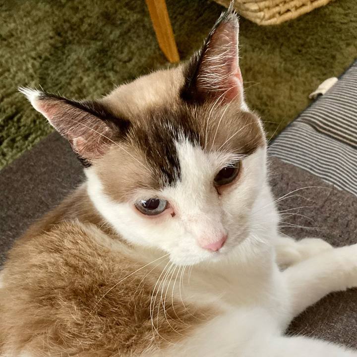 C7ee5c17 0a89 4f05 95d1 d253eb3e92d5 1663148840022