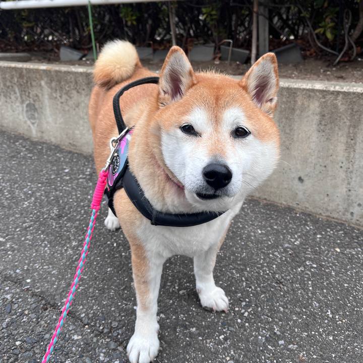 C7ee7a27 0b7c 4660 a995 6487683c032e 1706873360090