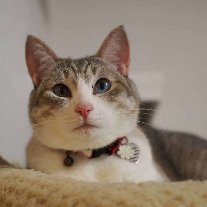 C7ee94ef e653 4c1d bc4e cf7610704c23 1560657297342