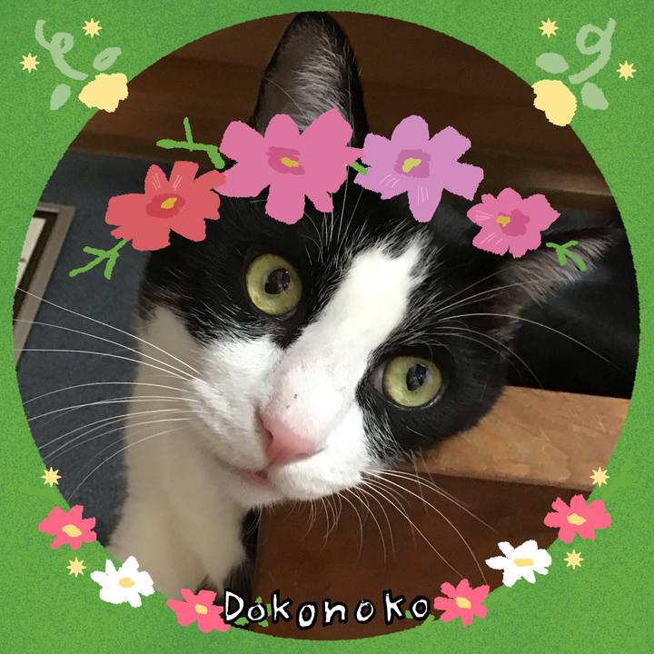 C7ee958d 9960 464d 8811 90c6db0e0f27 1726904634042