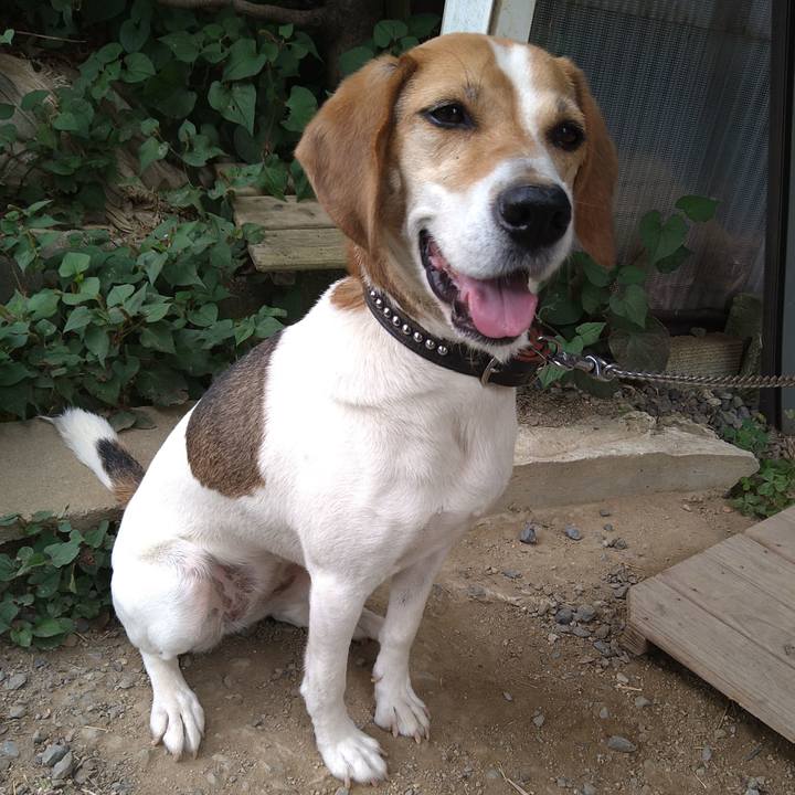 C7ee9823 5058 48e4 afb7 985d9f6cd574 1656511748545