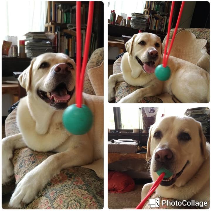 C7eea956 84e9 4ae3 a301 5c47cd634869 1628659675705