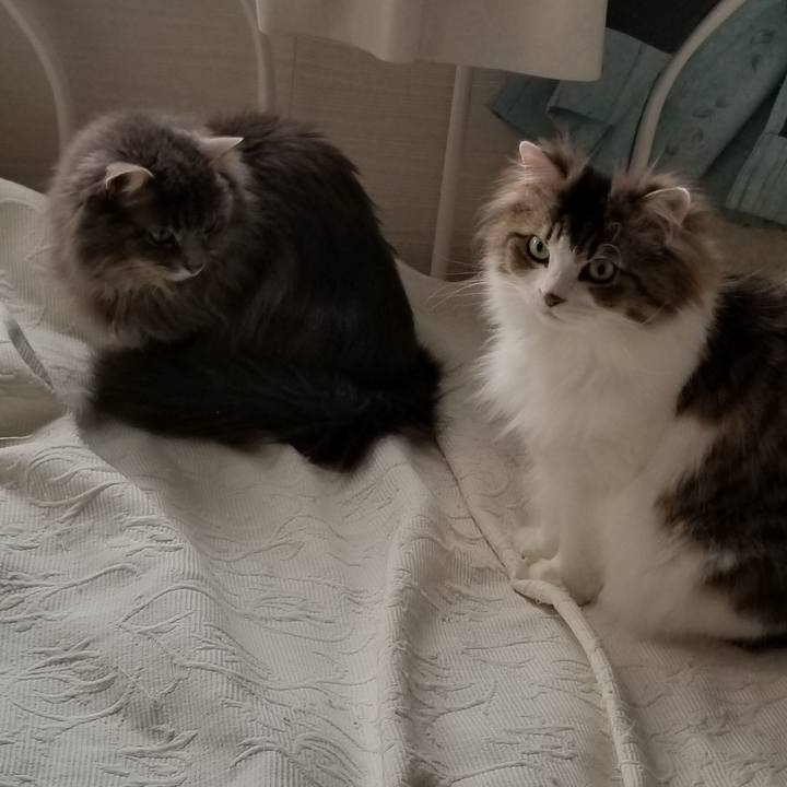 C7eeb88e 9799 4208 8f71 f9816c5c52ff 1556575897122