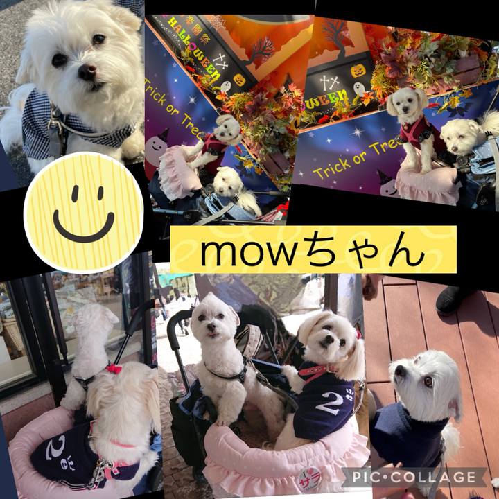 C7eebabc 0f9c 45e3 af61 e864f7b55b70 1707147808204