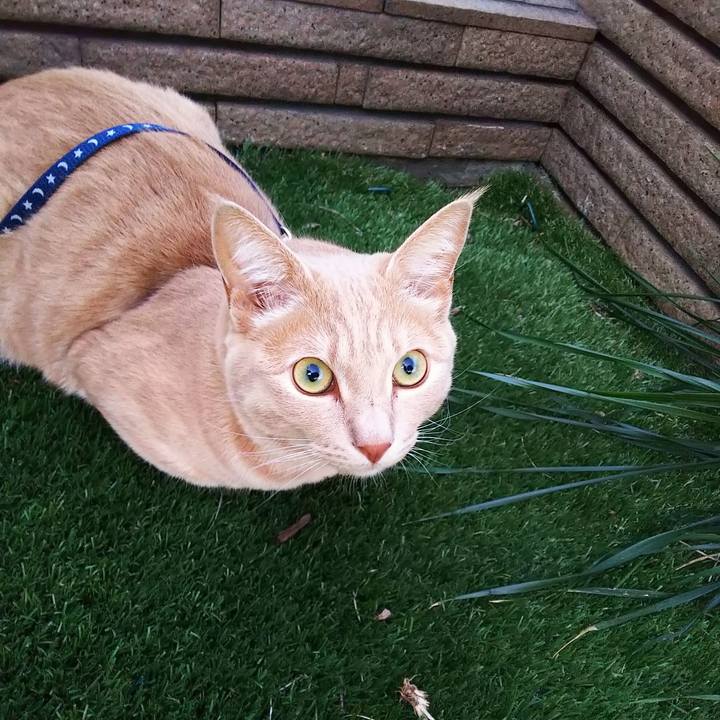 C7eec427 17cb 46fb b481 4c11a9188979 1567501824550