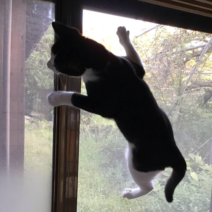 C7ef8776 cae2 4224 a613 6e76ed0900fa 1632394315529