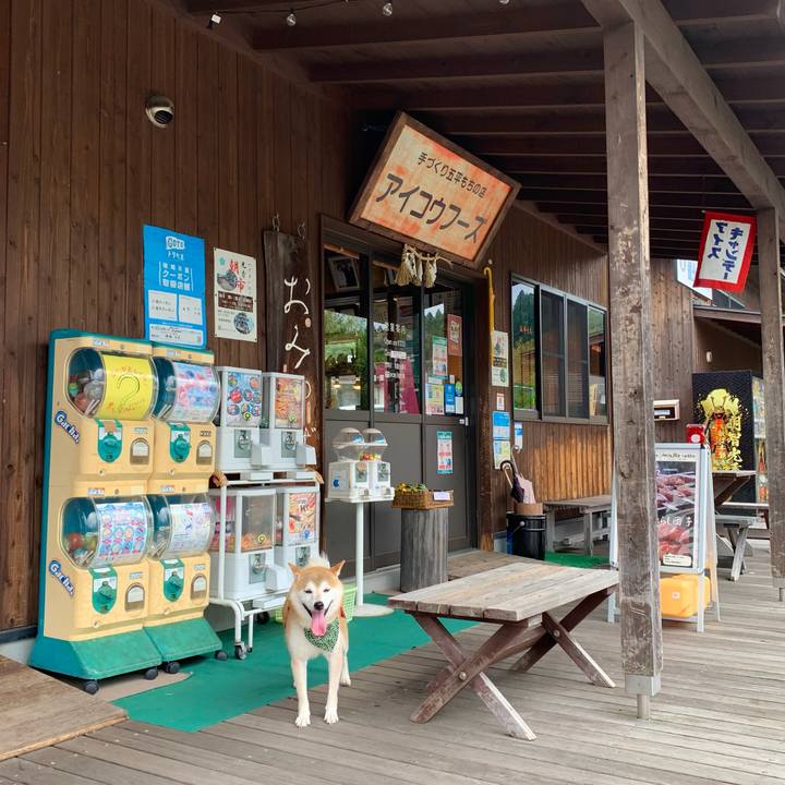 C7ef8985 719a 4946 8a75 0250bb9ef7ac 1660732003776