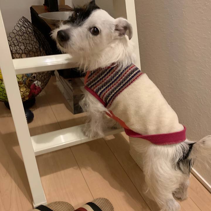 C7efb088 4b7c 437c 952a 570b0aea394a 1546519017837