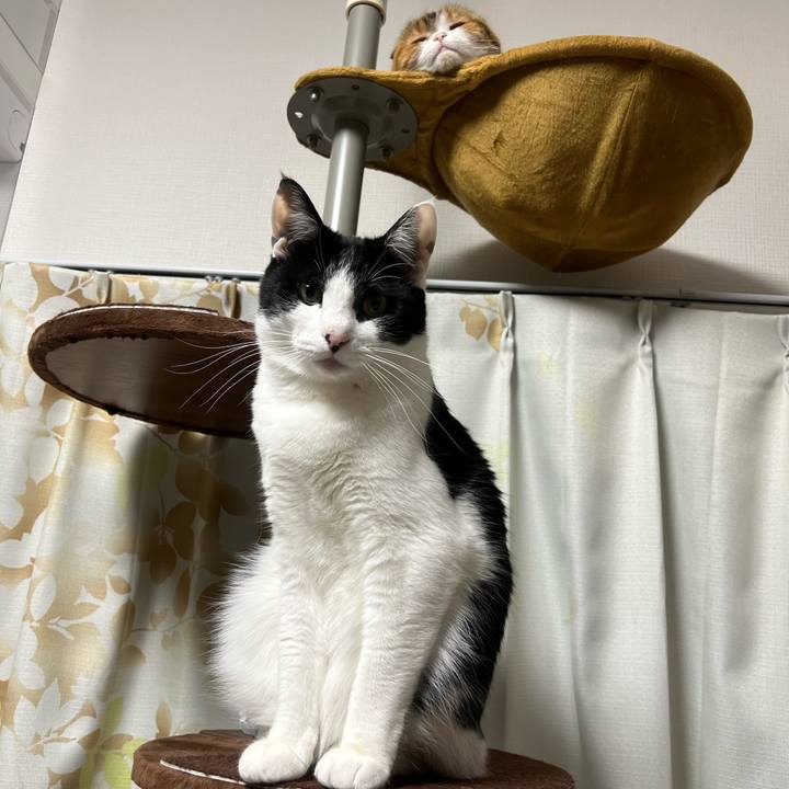 C7f01bbc 1547 4bdc 8afa 372c35a26ece 1649244902365