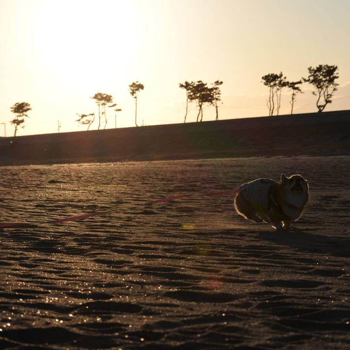 C7f03778 f78a 4d1d 871f 34105b719c4b 1606616591849