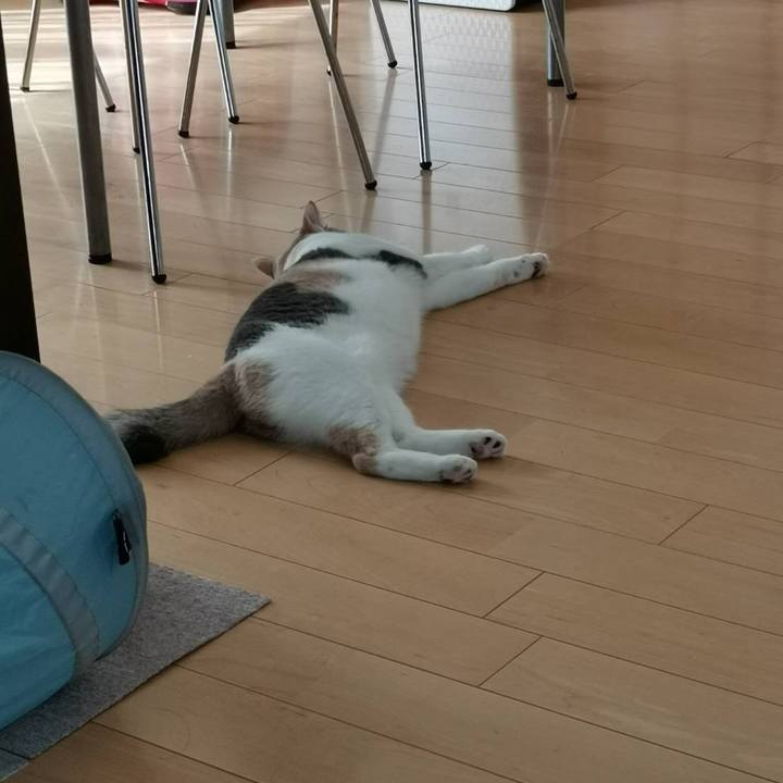 C7f07967 6b5d 444f 9cfb 1d0f18344d23 1632713543942