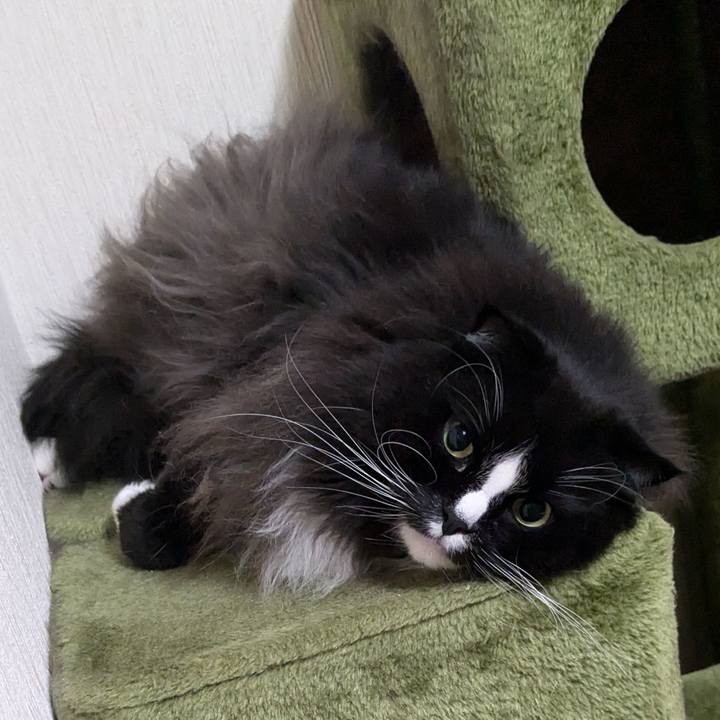 C7f08373 312b 42e0 a93d baab8ed316e1 1735772552924