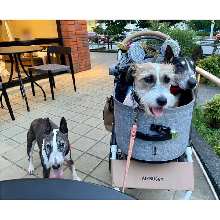 C7f0b066 1480 4e03 8c27 1351557b9b83 1627049370527