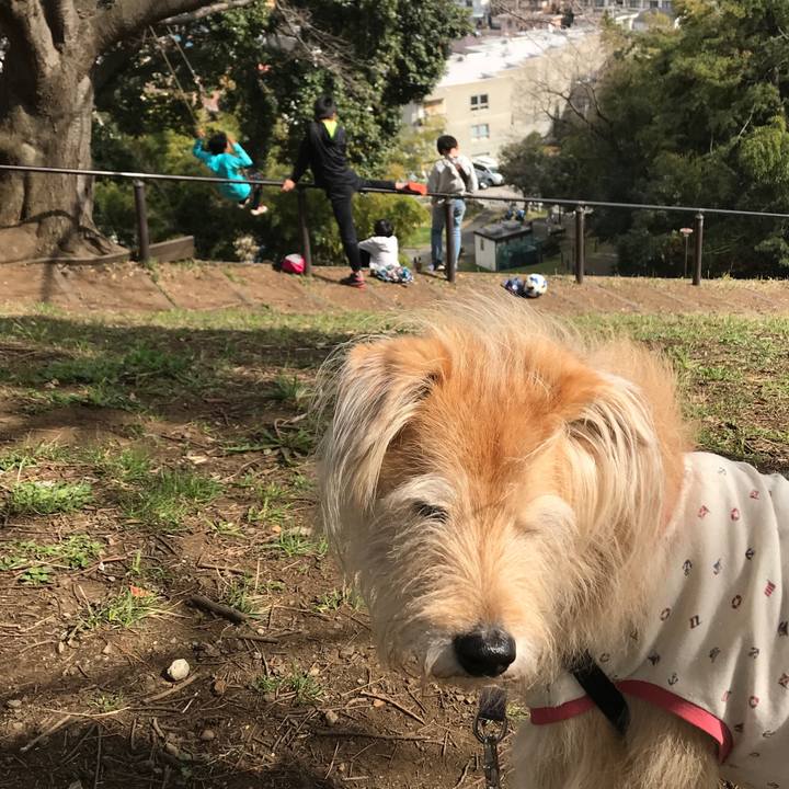 C7f0cb5c 84c5 4cf0 b7d7 d528db914833 1584260266087