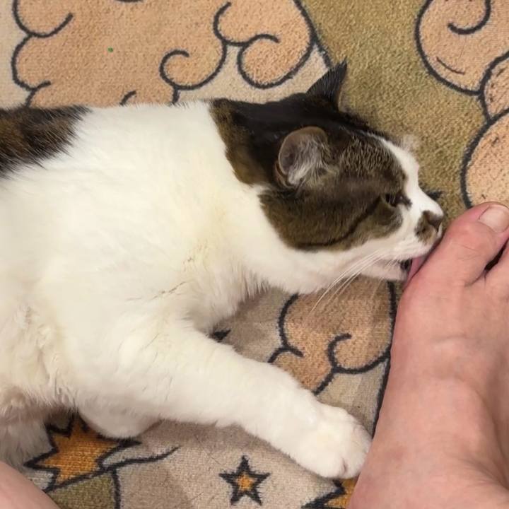 C7f0d1a3 8e7c 436b 953a 0d7a241beda0 1771637102291