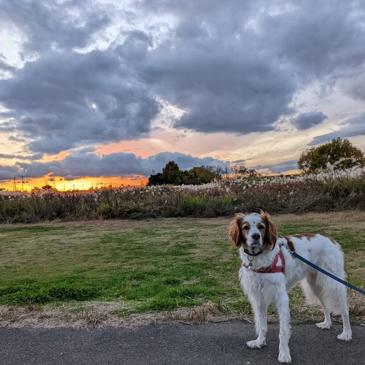 C7f10a9c 7559 4a4a 9c0f b3382b008d1f 1669887611291