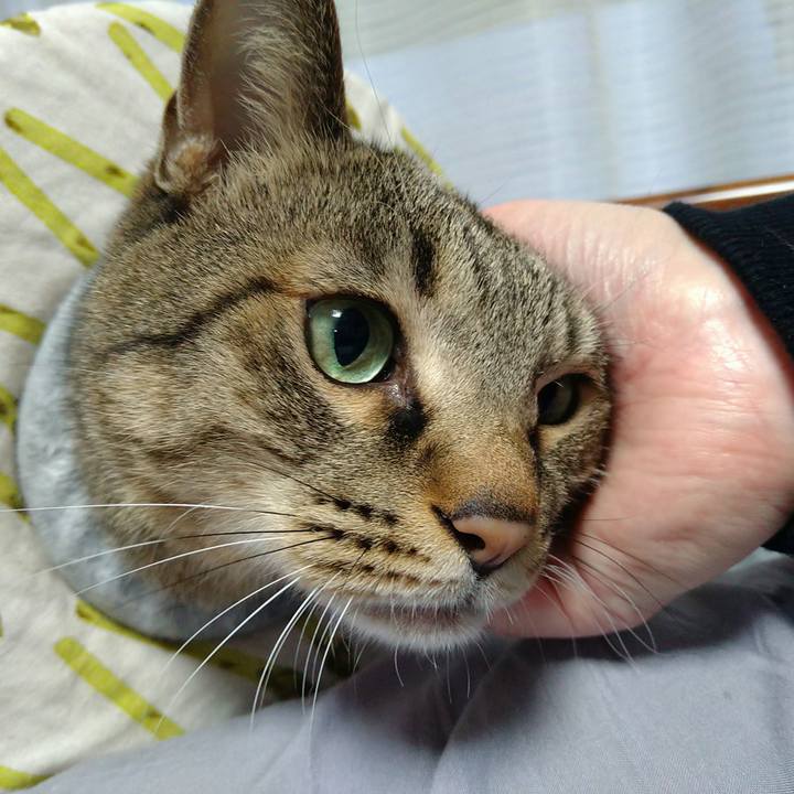 C7f11bf5 9ced 4deb acf5 bc73478d8aad 1730187472266