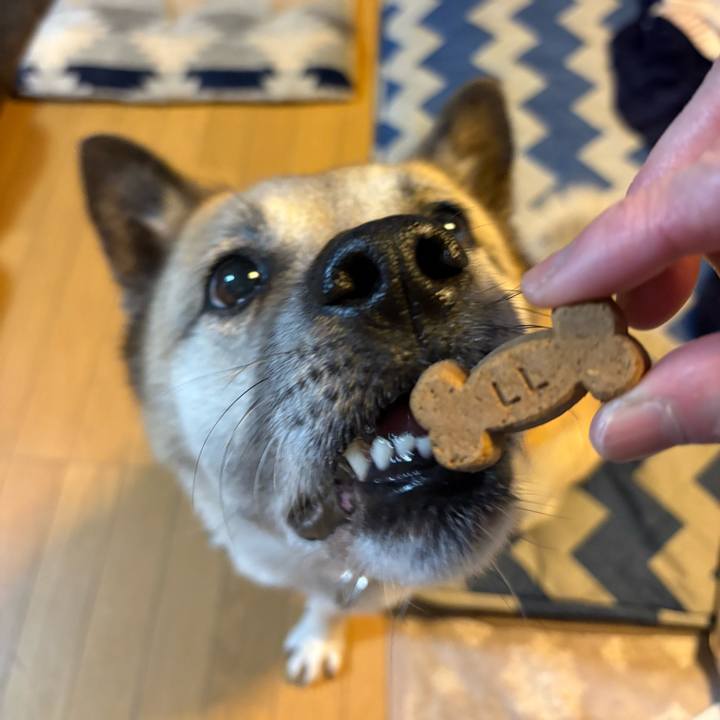 C7f11fdb bc2e 4331 b1aa 3a4bcc49e0e5 1746707558871