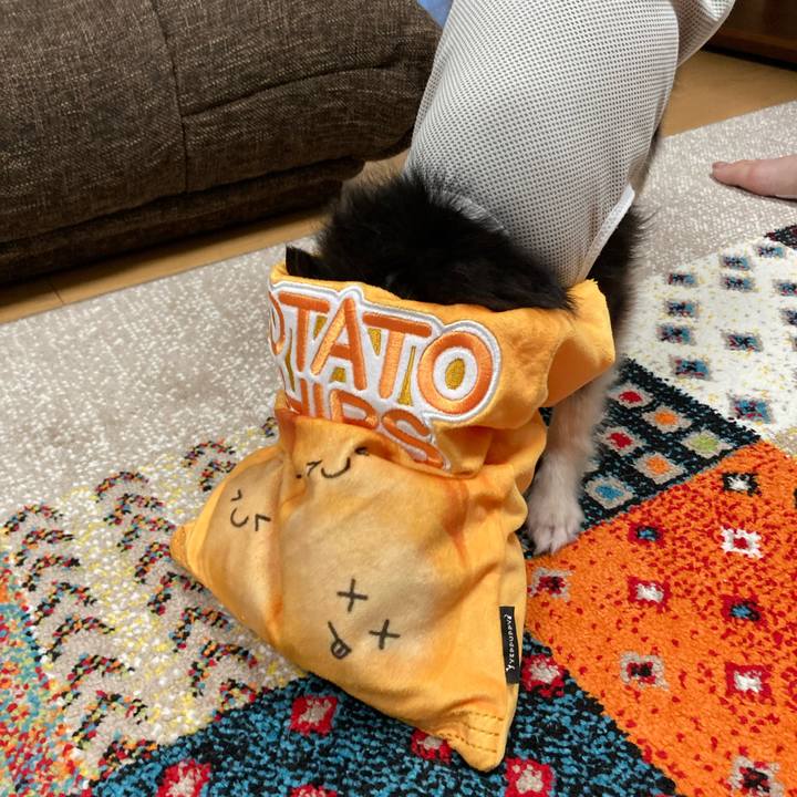 C7f1364f 86f2 4118 807f 15a448ecfc79 1693666086706