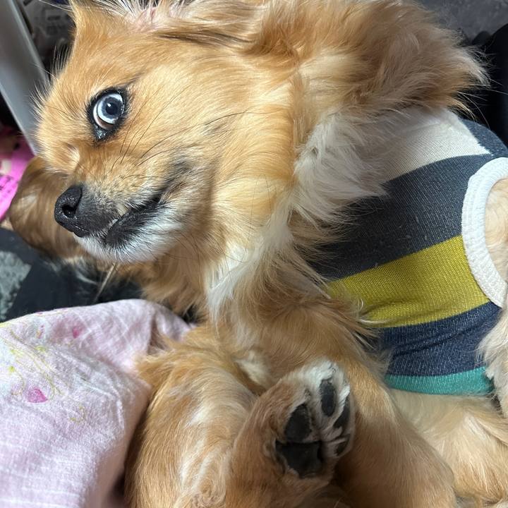 C7f136a7 515b 4598 ad9f 772006143a0e 1678148113699