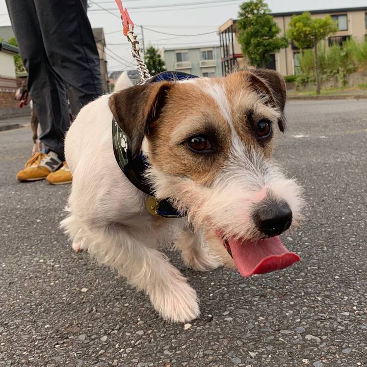 C7f15048 48bf 404b b414 33b3b595e550 1597058067632