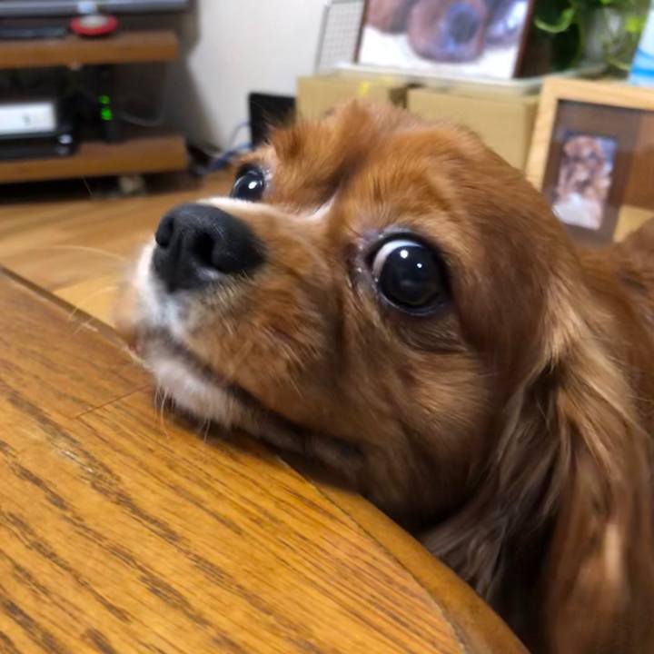 C7f1627a 68fe 4f57 9700 0b09a646e7e0 1560602879410