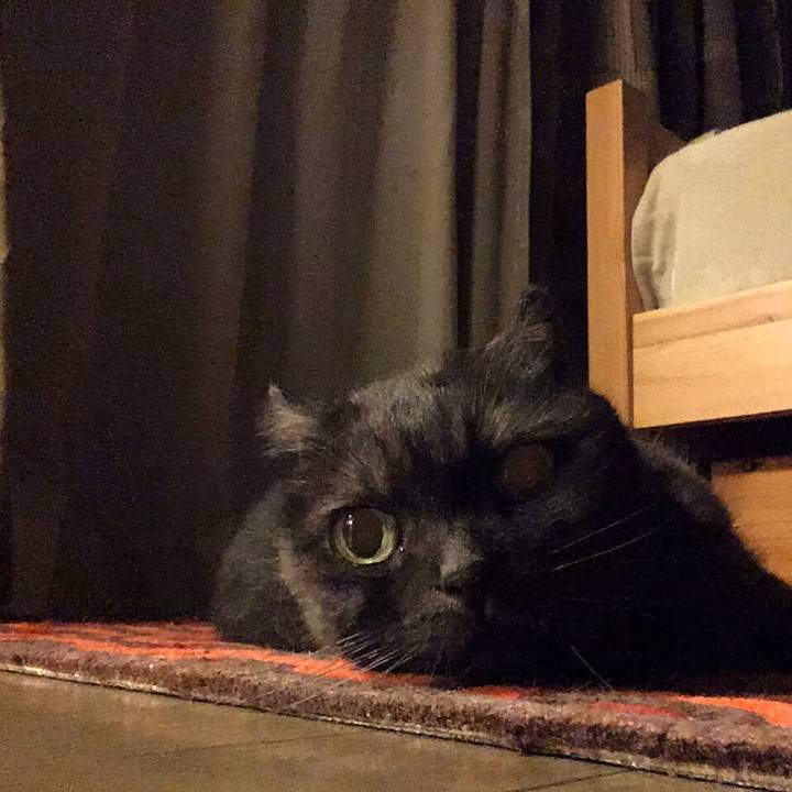 C7f17444 b3d6 4802 88c4 36b864f2b28a 1564148156565