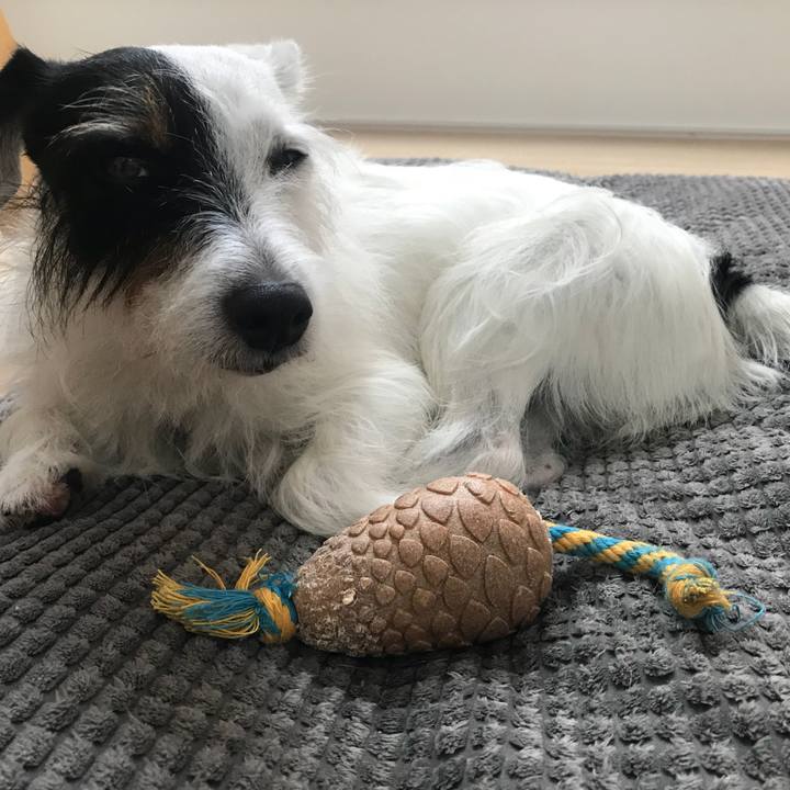 C7f177dc b9f8 4a49 a3c2 27db9eb7cb1d 1536015268747