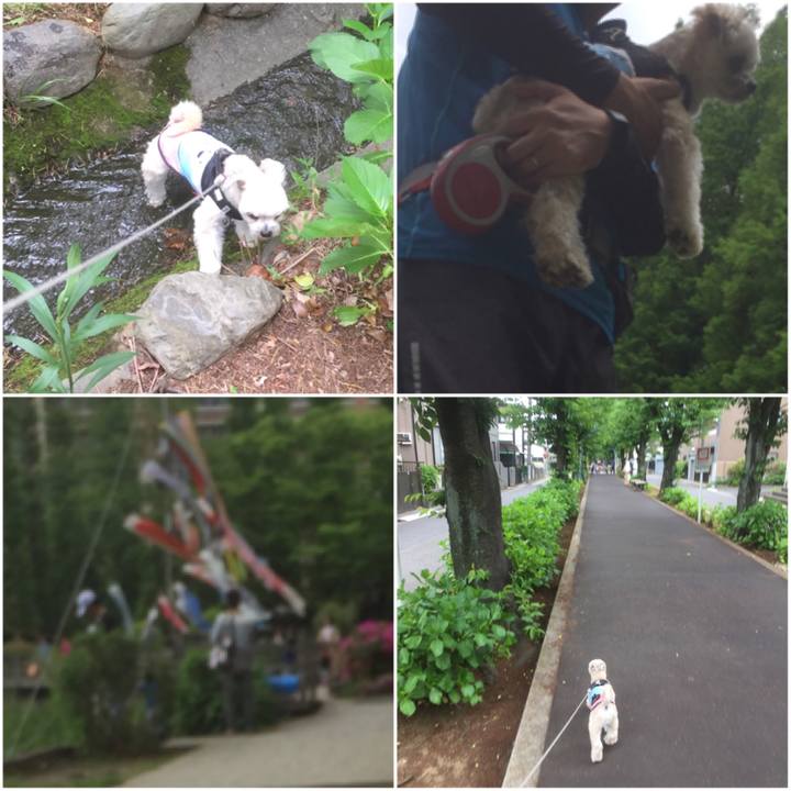 C7f1ae2c 2b80 4556 ab45 4ee771df0c4a 1557121645198