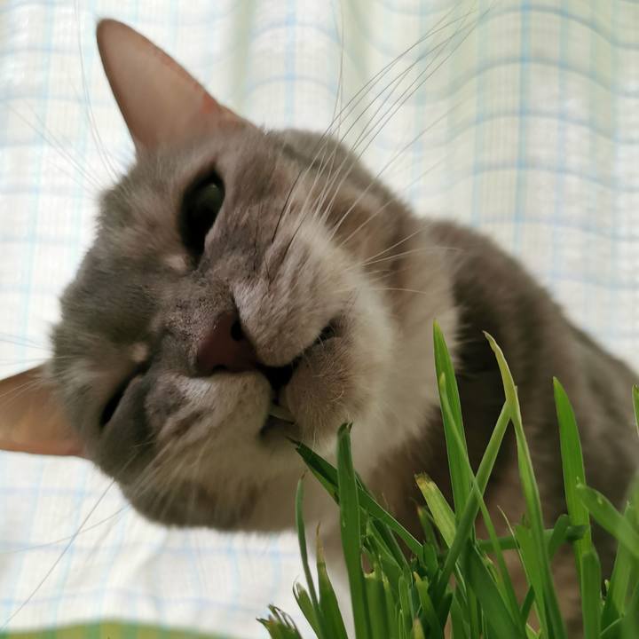 C7f1c66d 5df7 4e19 b767 c82eddae72b0 1650785966843