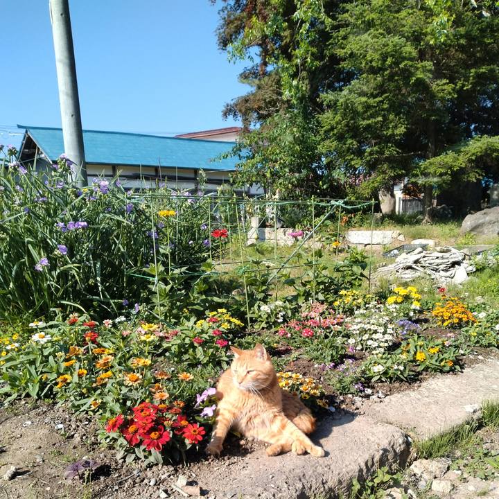 C7f2257e d0c5 4d23 bf4b a2803915171d 1718318624177